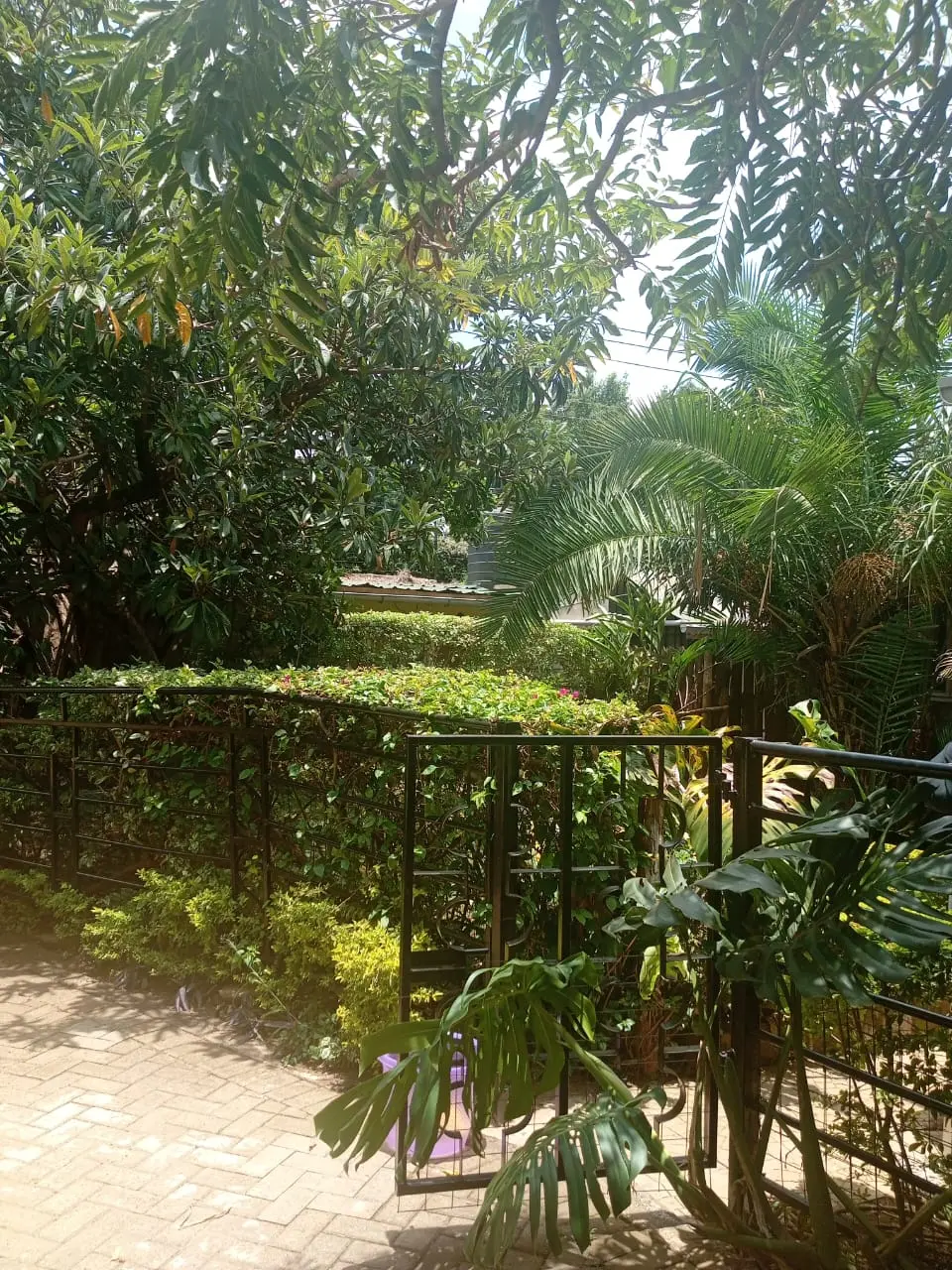 Two Bedroom Guest House - Riara Road